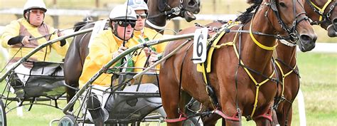 nz harness results|Harness Racing New Zealand .
